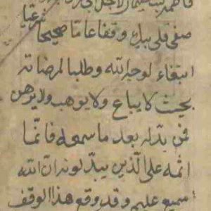 photo_2021-11-07_11-10-12 اسناد تاریخی صحیفه سجادیه، اسناد دوران صفویه، اسناد مرتبط با صحیفه، امام زینالعابدین، امام سجاد، صحیفه سجادیه، وقف صحیفه سجادیه